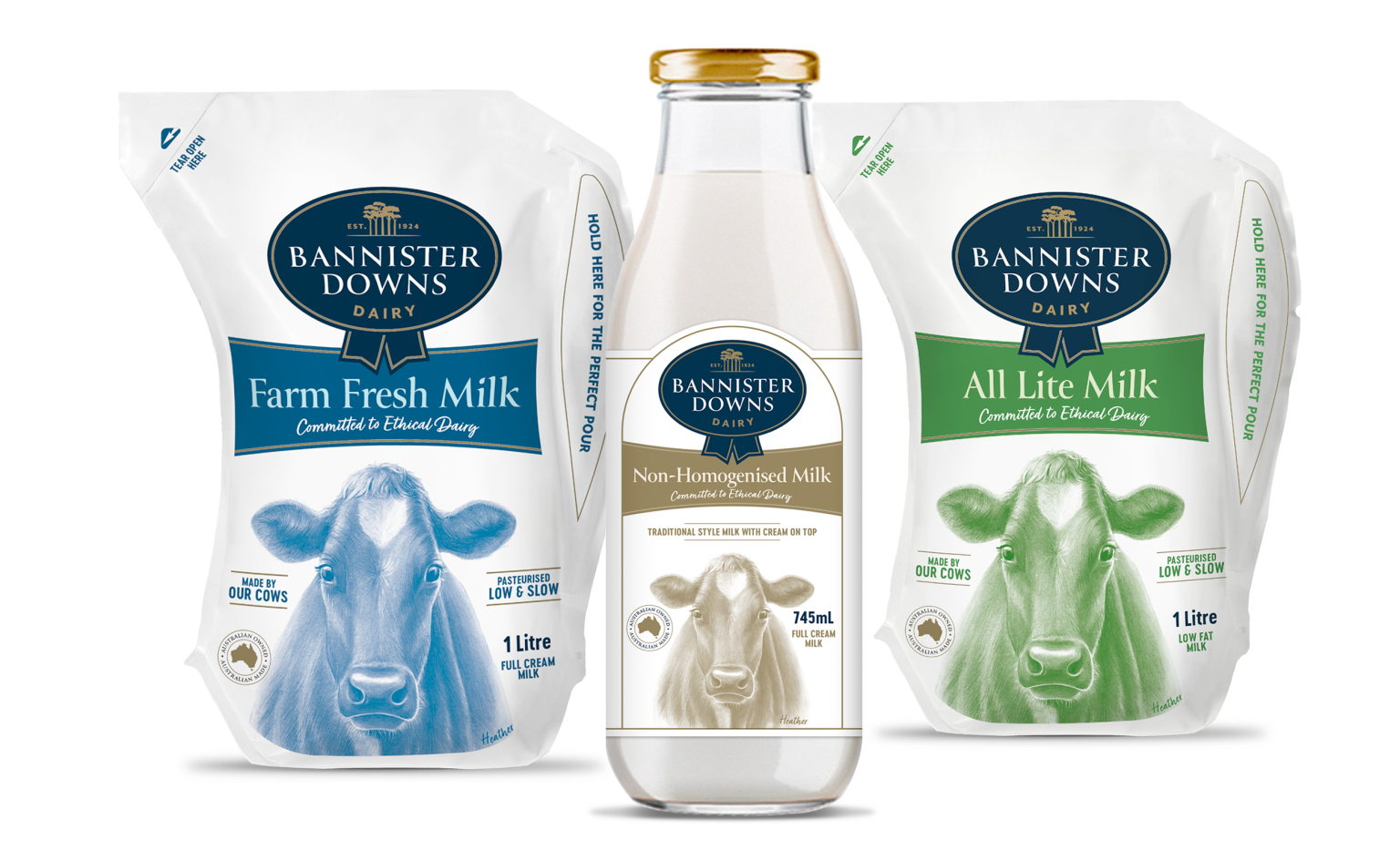 01 bannister downs dairy 202301 bdd v2