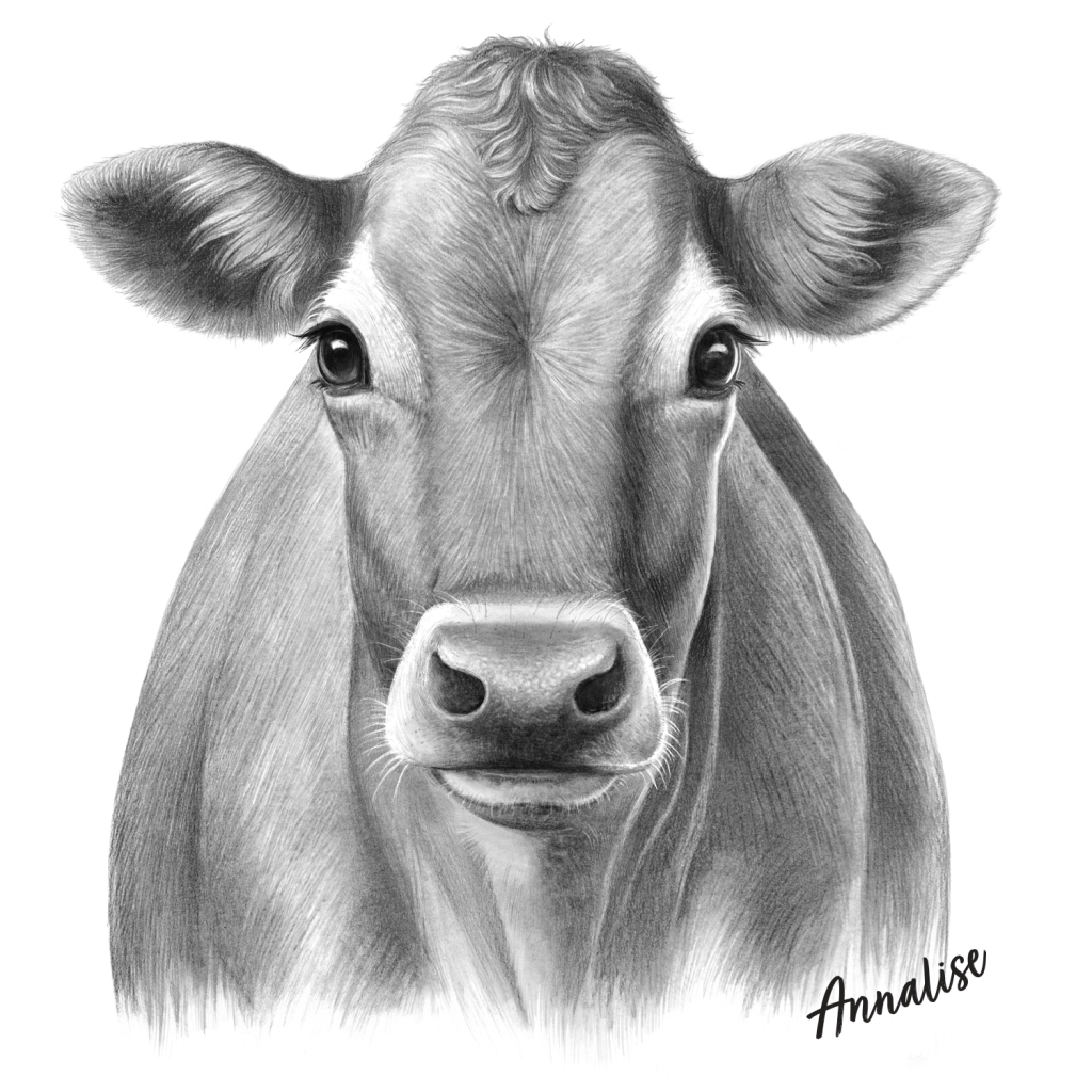 03 bannister downs dairy 202303 bdd